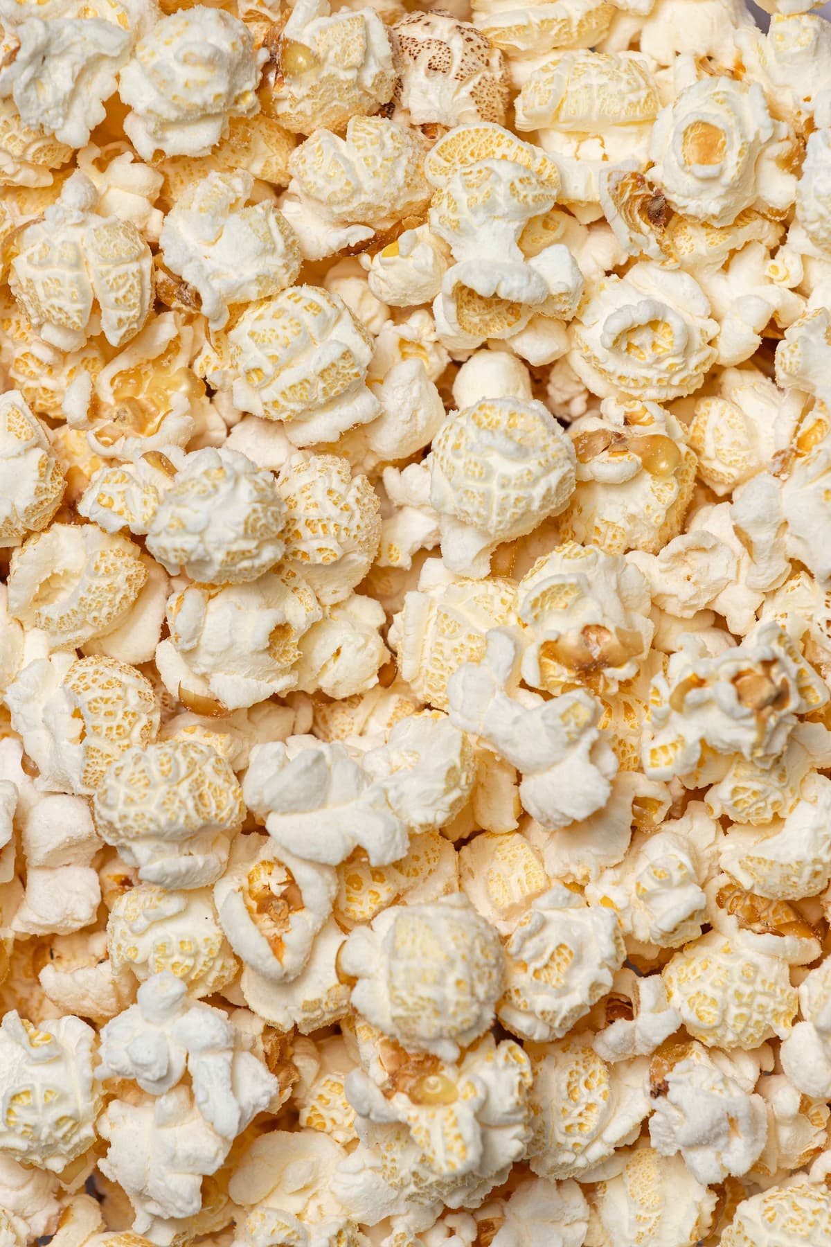 Salt & Vinegar Popcorn | Klondike Kettle Corn